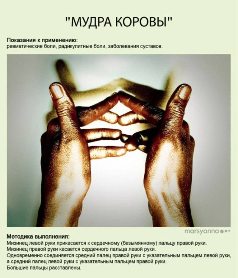 Мудра лотоса для избавления от одиночества и привлечения любви