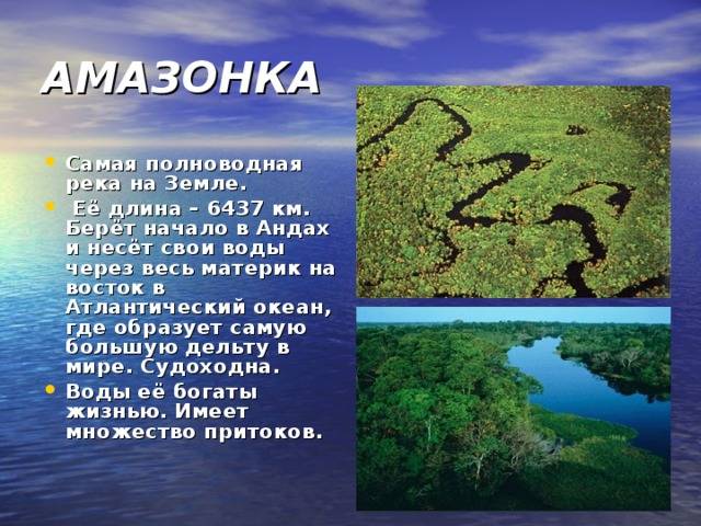 Россия: реки, самая длинная в европе и полноводная река страны и их значение | tvercult.ru