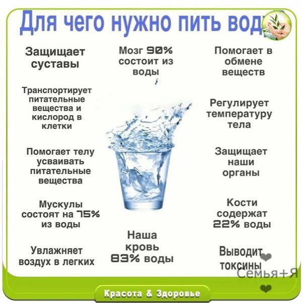 Какую воду лучше пить для похудения: кипяченую, сырую, минеральную