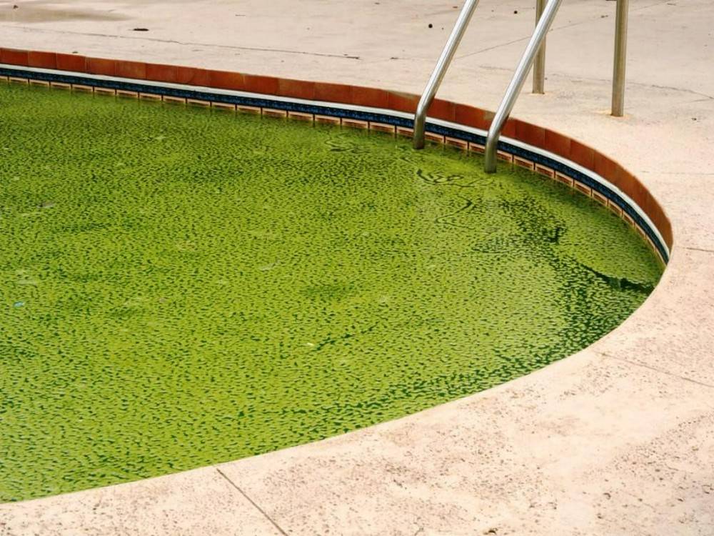 Почему вода в бассейне зеленая