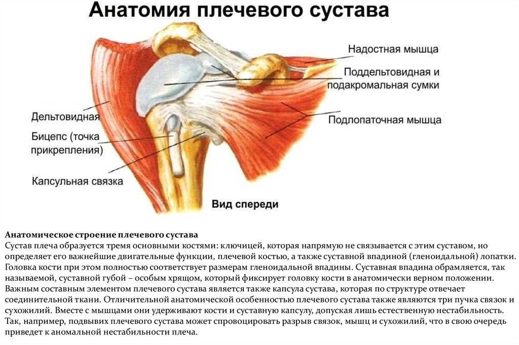 Боль в плечевых суставах: о чем сигнализирует? | артромедцентр