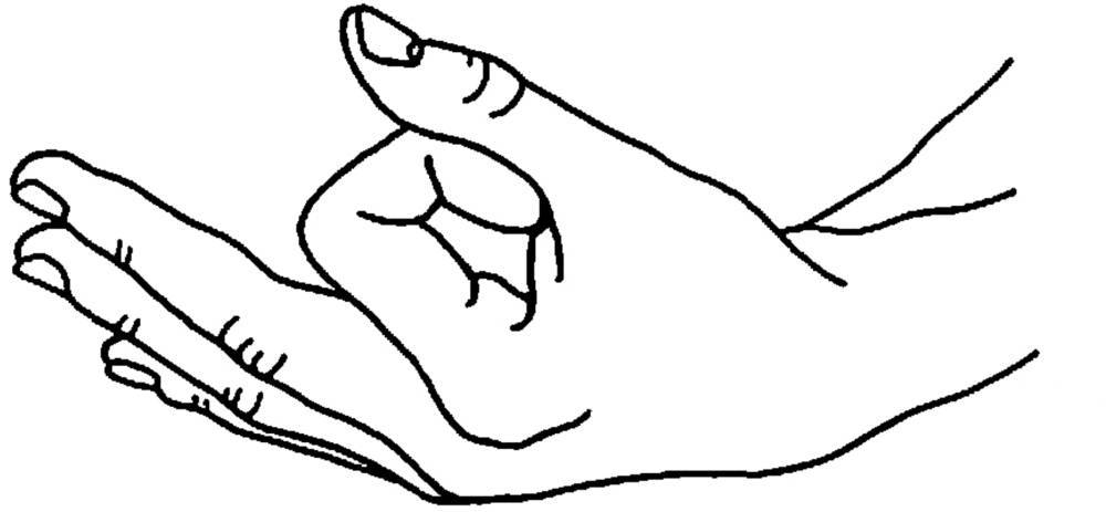 Кшепана-мудра. исцеляющая сила мудр. здоровье на кончиках пальцев