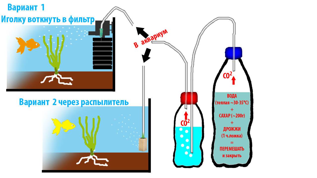 Сколько отстаивать воду для аквариума? параметры воды, запуск