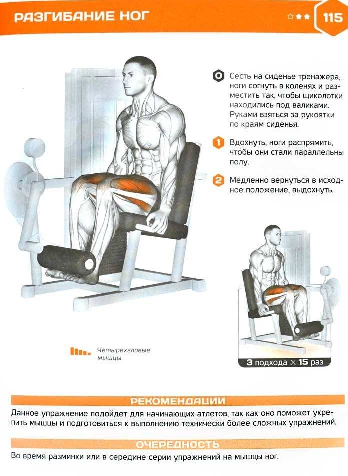 Тренировка в зале: сгибание ног лёжа в тренажёре | rulebody.ru — правила тела