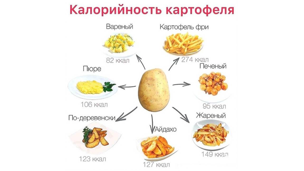 Калорийность картофеля сырого, вареного, жареного, тушеного, фри - zenamoda.ru