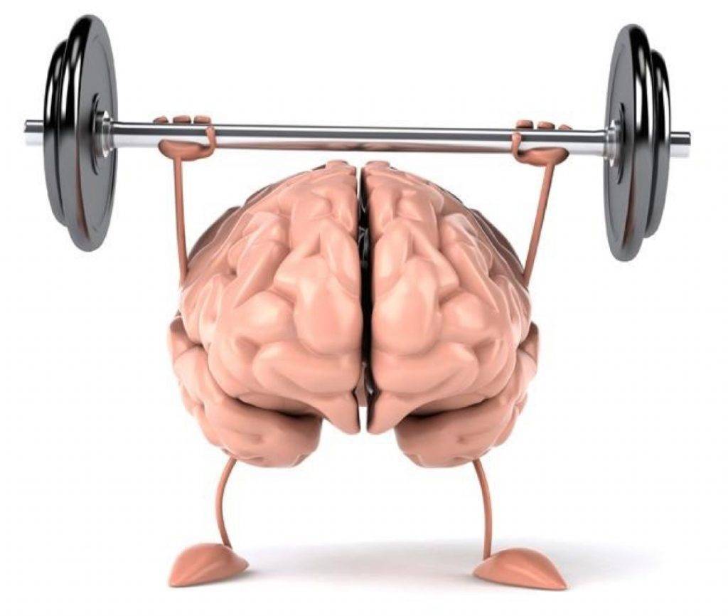 Как правильно качать мышцы: почему по разному чувствуется нейромышечная связь мозг-мышца, как тренировать и развить ее?