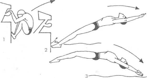 Глава 6 старты, повороты и финиши при разных способах плавания - платонова в.н. плавание - n1.doc