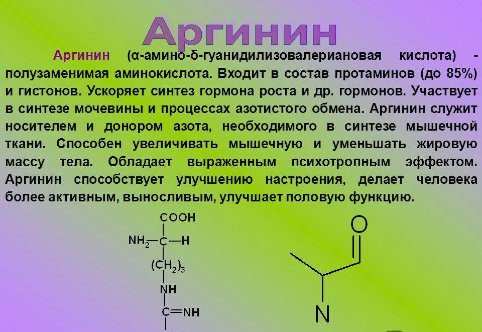 Аргинин — важнейшая аминокислота в организме | университетская клиника