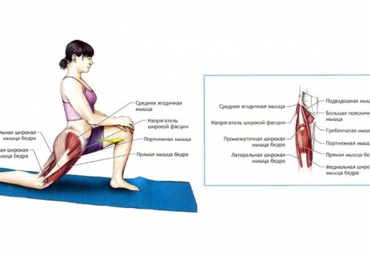 Растяжение мышц - kinesiopro
