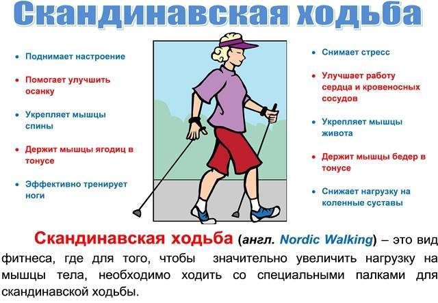 Скандинавская ходьба: техника, палки, видеоуроки | training365.ru | дзен