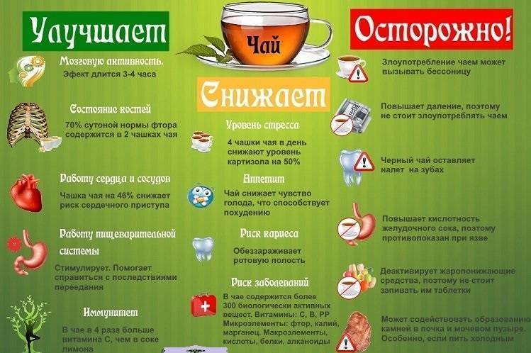 Мифы о пользе зеленого чая