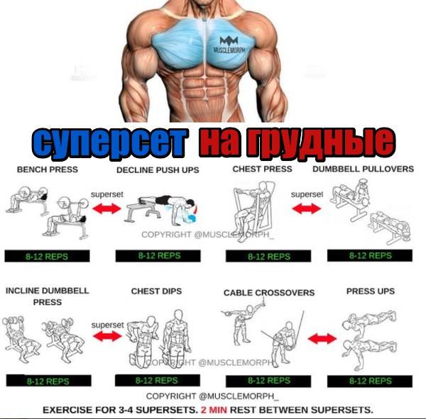 Жим лёжа: программы тренировок для увеличения силы | rulebody.ru — правила тела