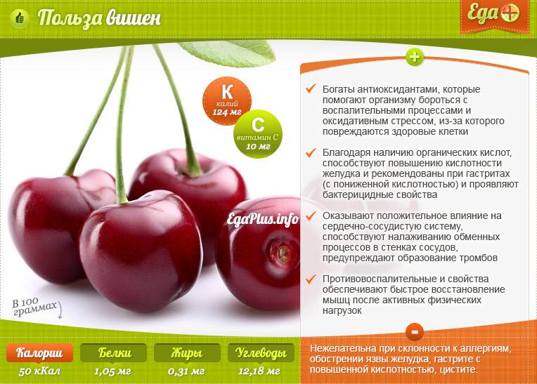 Черешня: калории, полезные свойства. химический состав и пищевая ценность :: syl.ru