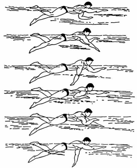 Стили плавания: основные виды (техники) плавания в бассейне и море