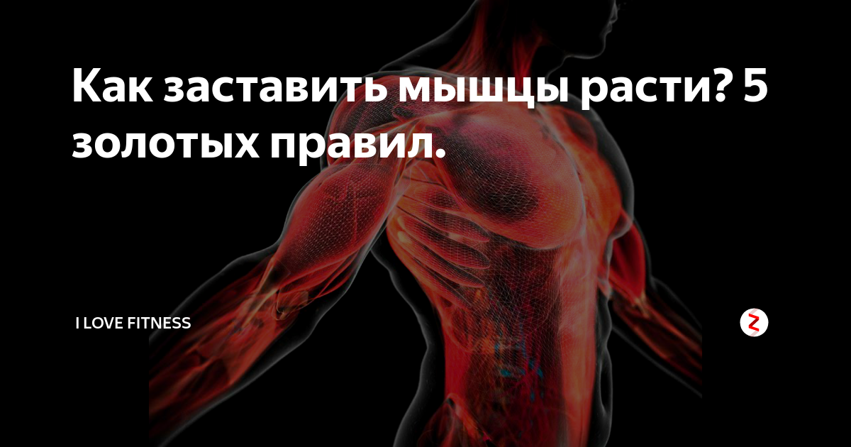 Когда растут мышцы. Как растут мышцы. Укрепляются мышцы. Как растут мышцы после тренировки. Процесс увеличения мышц.