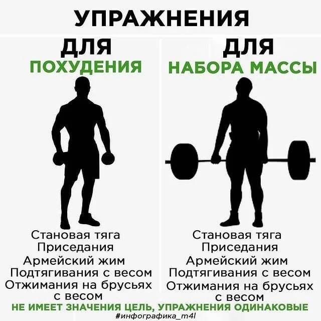 Программа тренировок для набора мышечной массы:  упражнения и рекомендации по тренировкам