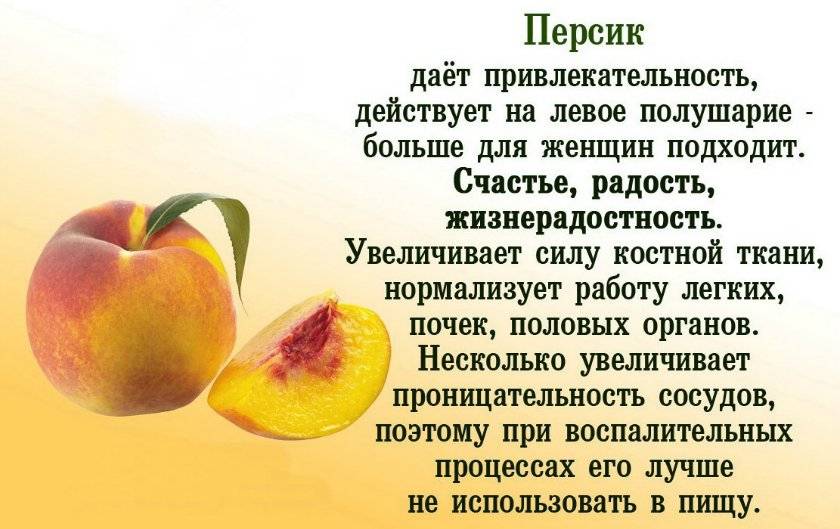 О пользе и вреде персиков