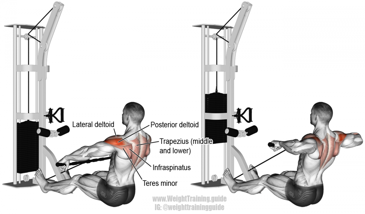 Тяга горизонтального (нижнего) блока — развиваем мышцы спины |
