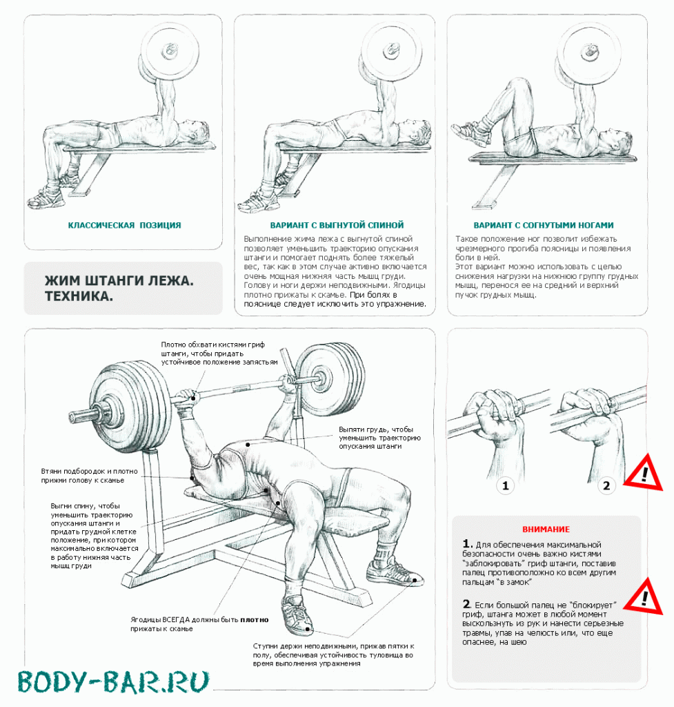 Жим штанги лежа: как правильно делать и какие мышцы работают