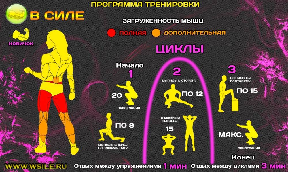 Программа тренировок для начинающих девушек