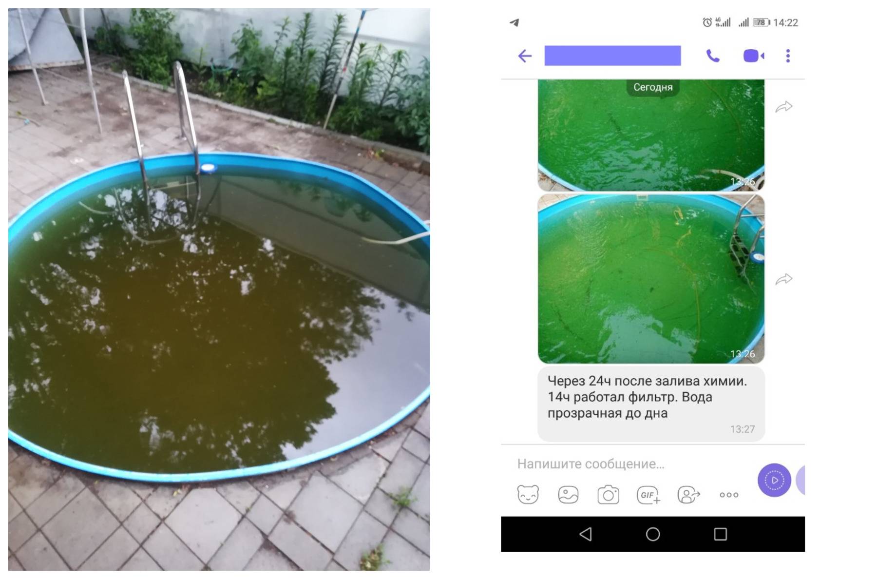 Почему позеленела вода в бассейне после хлорирования и что с этим делать?