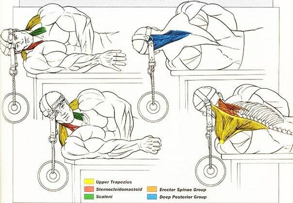 Гимнастика и лфк при шейном остеохондрозе – лучшие упражнения и методики