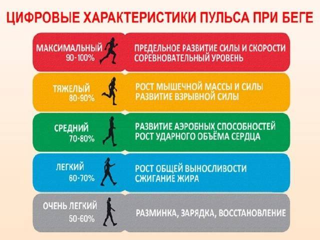 Пульс при беге – каким он должен быть при разных видах бега