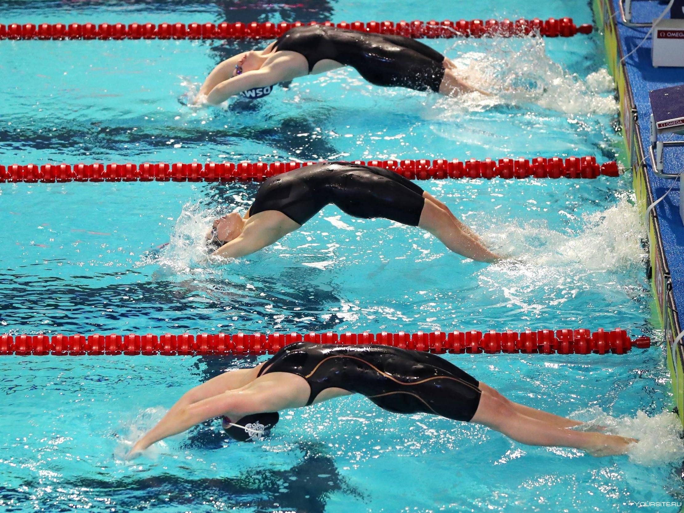 Как научиться быстро плавать, фото / как быстро плавать кролем взрослому в бассейне, видео