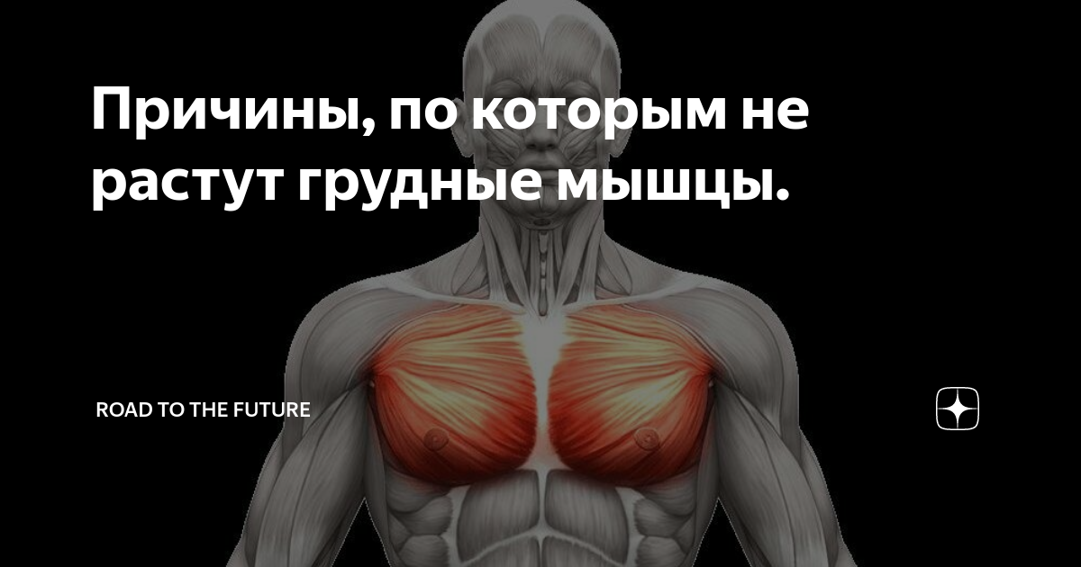 Почему не растут грудные мышцы?