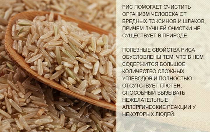 Польза риса для организма: свойства, состав, вред, витамины, виды, ценность, есть, отвар, человека, полезен, разновидности, мужчин, женщин