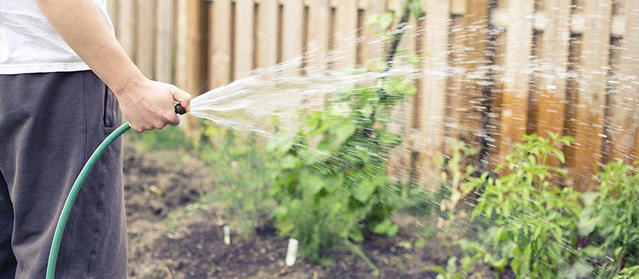 Решение непростого вопроса: можно ли поливать огород водой из бассейна?