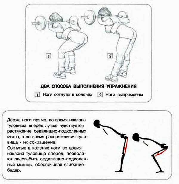 Румынская становая тяга или упражнение «доброе утро» (гудморнинги): какое упражнение лучше для ягодиц и бёдер