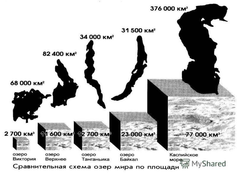 Какая максимальная глубина байкала? байкал - самое чистое и глубокое озеро на планете :: syl.ru