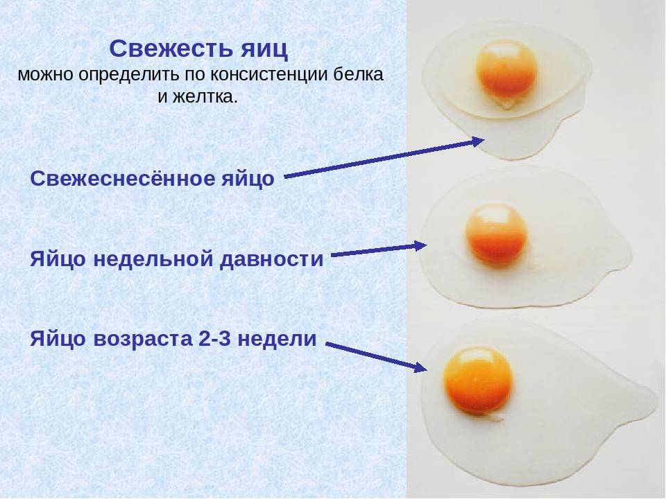 Что в яйце полезнее: белок или желток