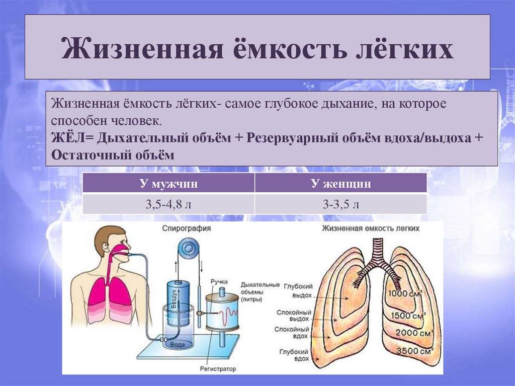 Жидкость в плевральной полости - диагностика и лечение | университетская клиника