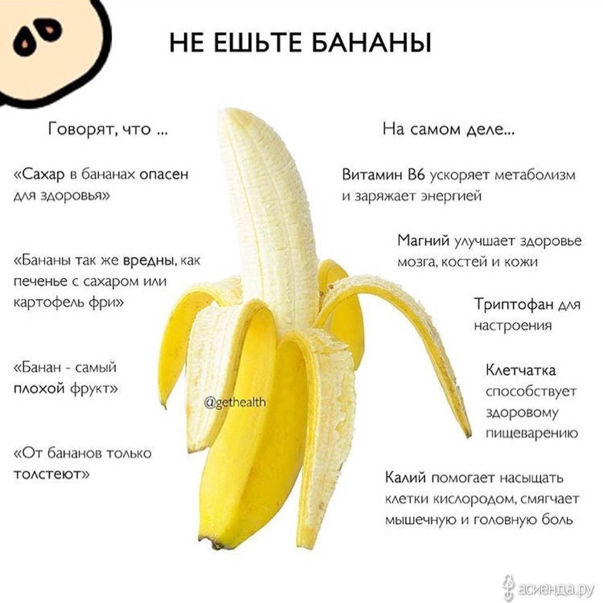 Бананы – польза и вред для организма