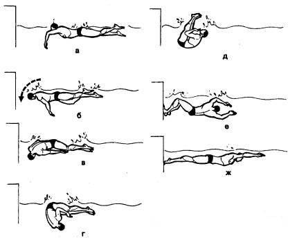 Реферат: стили плавания: кроль на спине и поворот маятника