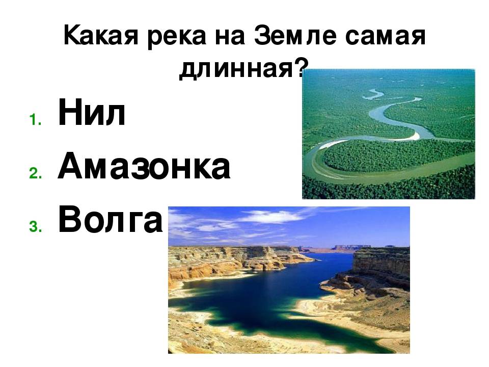 Какая река самая длинная в мире?