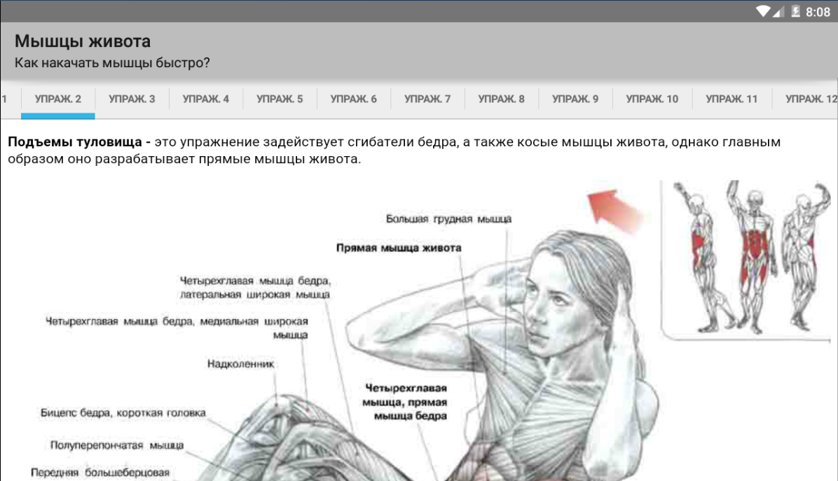 Как накачать мышцы в домашних условиях - wikihow