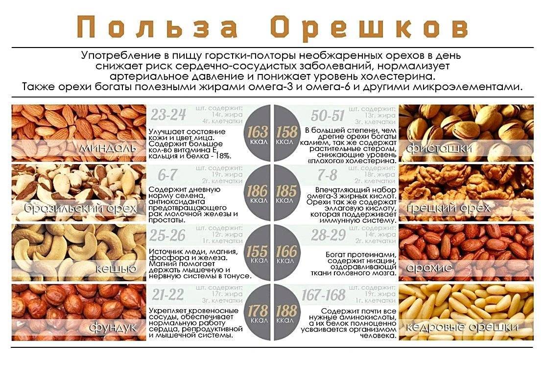 Сколько орехов можно съедать в день: какие полезны при похудении и лучше для диеты, а также фото порции в штуках с калорийностью