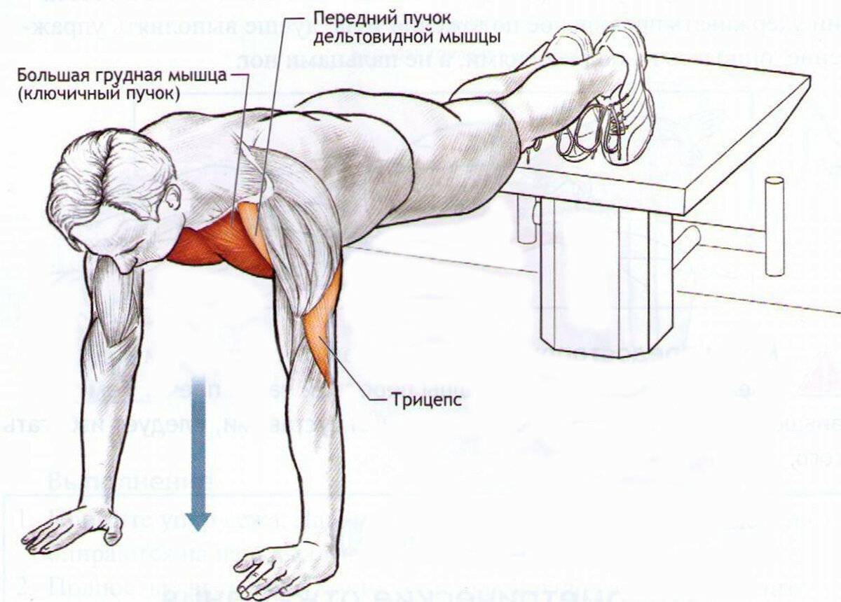 Как накачивают мышцы в домашних условиях: самые эффективные упражнения - tony.ru