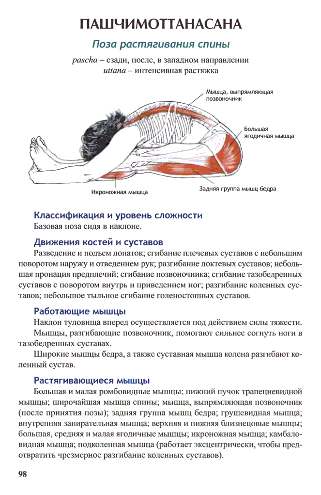 Как растянуть мышцы спины. Пашчимоттанасана анатомия йоги. Растяжка широчайших мышц спины упражнения. Растяжка мышц поясницы. Растяжка мышц шеи сзади