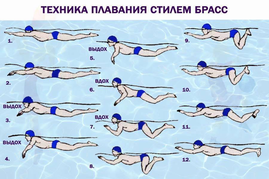 Стиль плавания брасс: техника, как правильно плавать