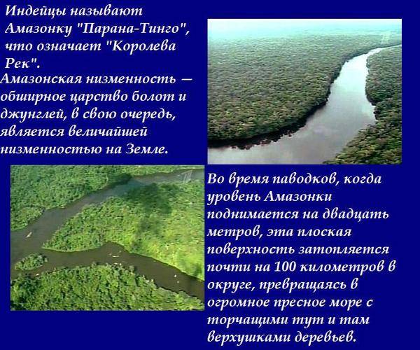 Амазонка: самая полноводная река южной америки; ее длина, куда впадает, где протекает — все подробности об амазонке и амазонках