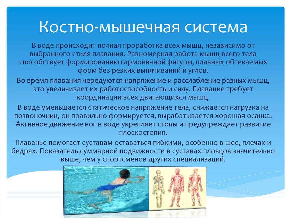 Значение плавания для здоровья человека