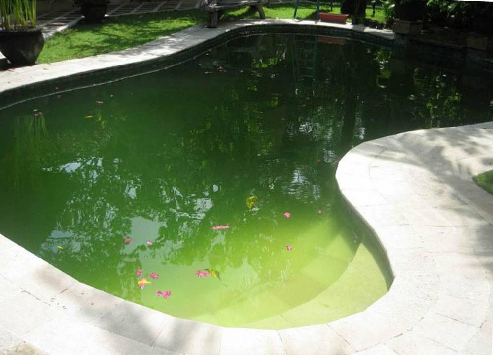 Обработка бассейна водорослей: лучшие средства для защиты от водорослей воды в бассейне - morevdome.com
