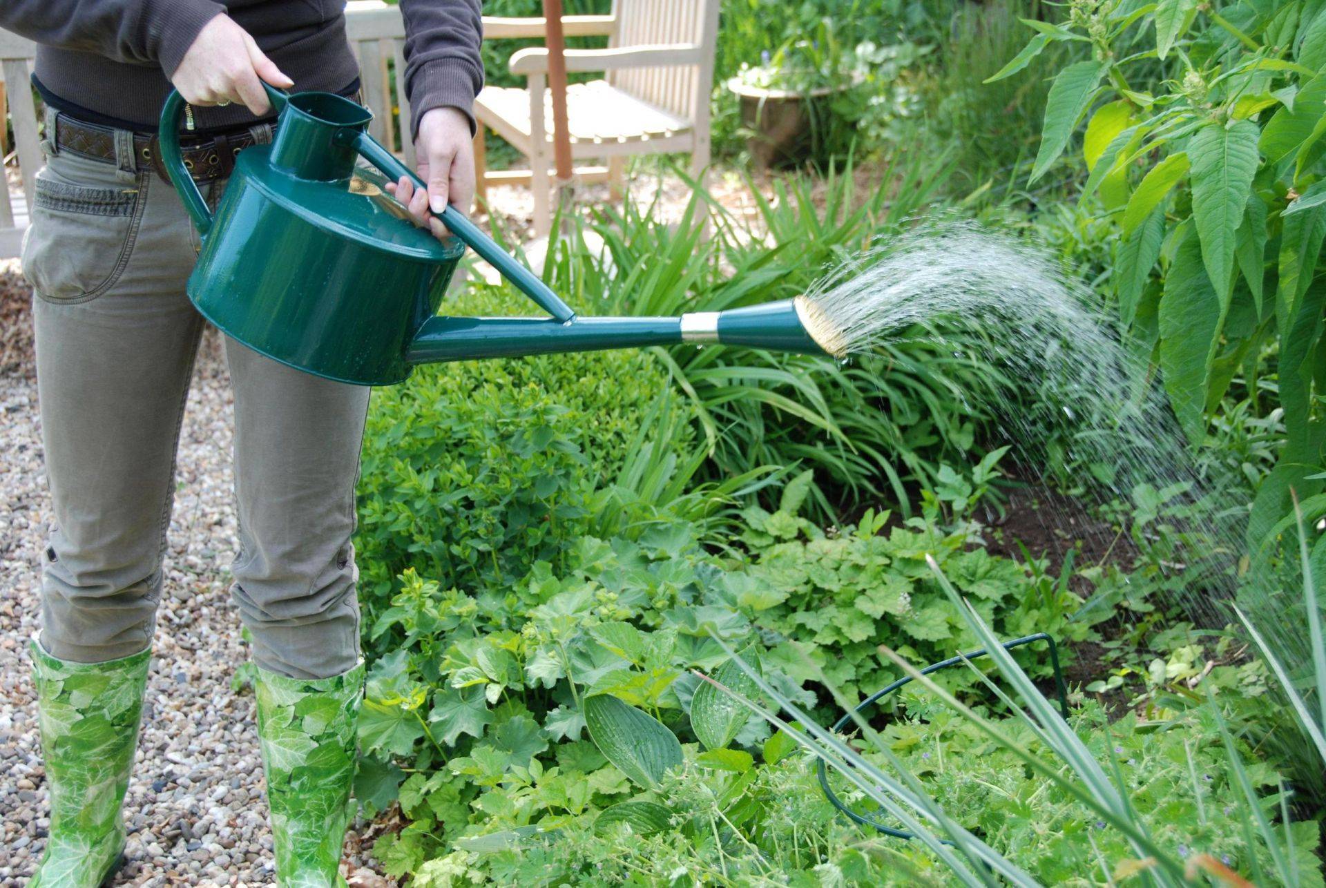 Можно ли поливать растения холодной водой из скважины или колодца