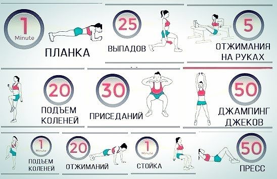 Программа тренировки круговой для девушки: примеры эффективных упражнений для женщин