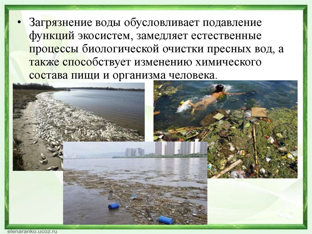 Самые загрязнённые моря, реки и озёра россии: рейтинг водоёмов с фото и видео