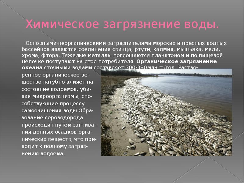 Какова ситуация с загрязнением воды в россии? причины экологического неблагополучия и методы его разрешения